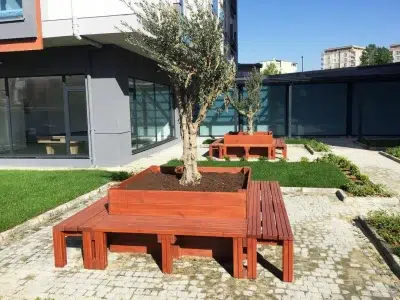 Wooden seating around a tree — Elysee
